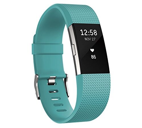 Fitbit Charge2 フィットネストラッカー Teal Lサイズ FB407STEL-JPN