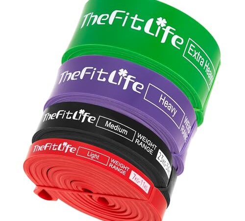 TheFitLife トレーニングチューブ 筋トレチューブ 懸垂チューブ ワークアウト (4色セット)