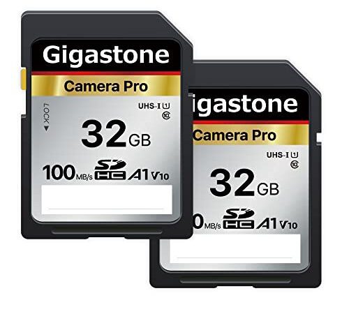 Gigastone SDカード 32GB 2枚セット, 高速 フルHD ビデオ SDHC メモリーカード 32GB 2-Pack, Full HD デジタルカメラ, UHS-I U1 Class 10 ミニケース2個付き